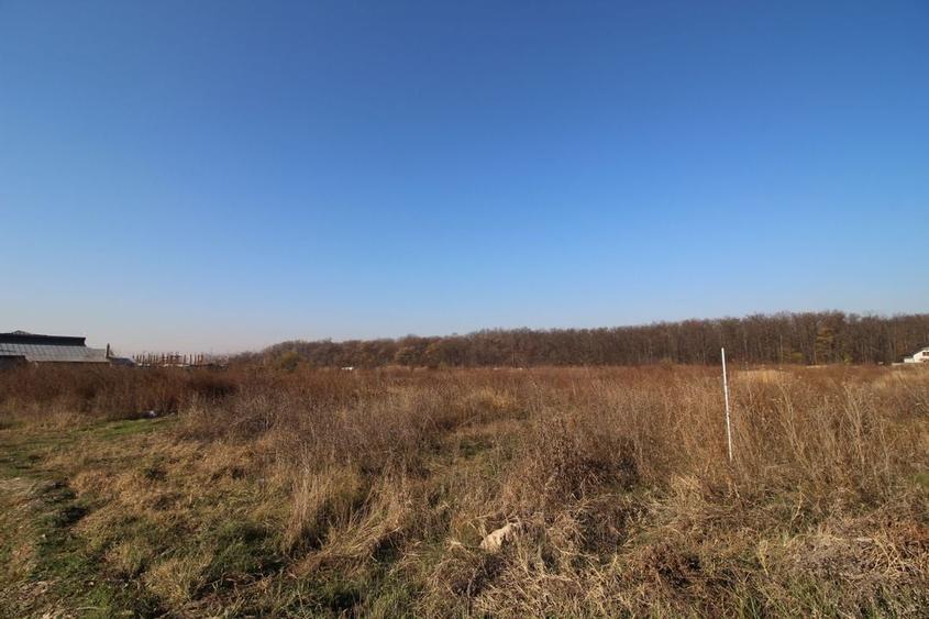 Teren dezvoltare 4763 pe malul Lacului Mogosoaia deschidere 40 metri - 7