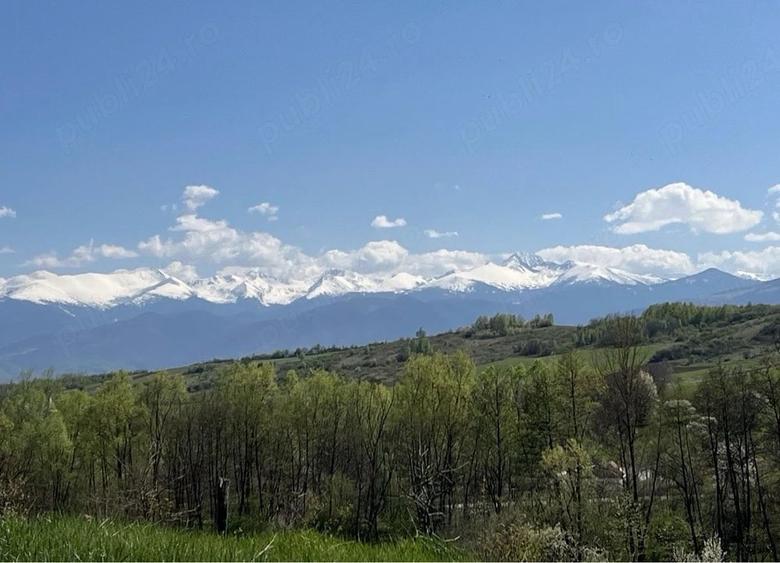 Teren de 5800 mp, în Ciula Mare