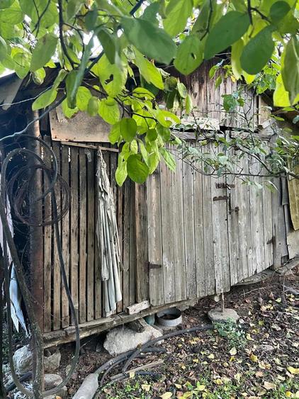 Galbinasi - jud. Calarasi, casa vanzare - 5