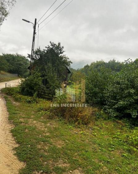 Teren intravilan Sinca Noua - 10