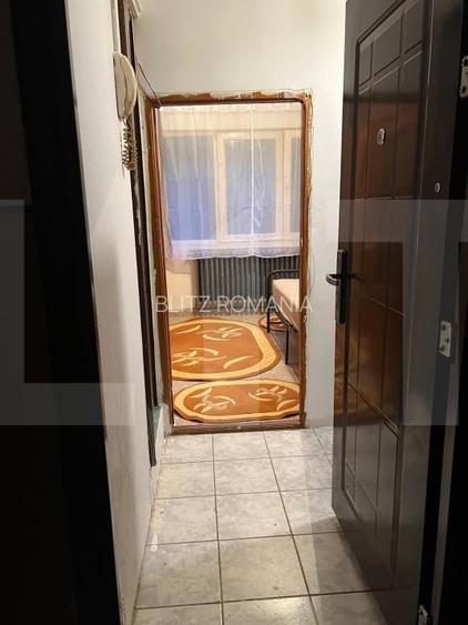 Apartament cu o camera Buziasului