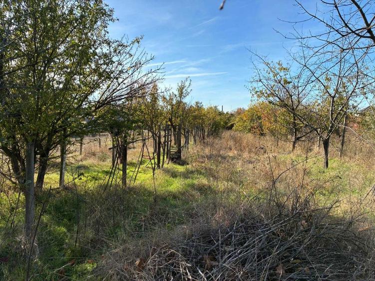 Teren intravilan 5140mp - 9