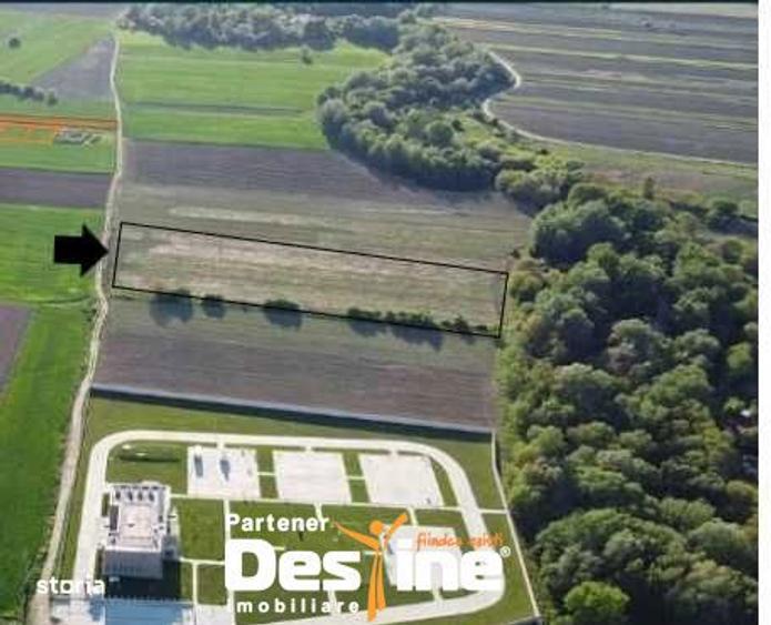 Teren intravilan 7567mp, certificat de urbanism, Magurele - 1