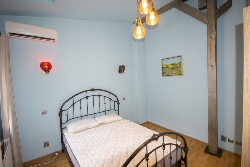 Inchiriere vila cu personalitate zona Tudor Vladimirescu - 12