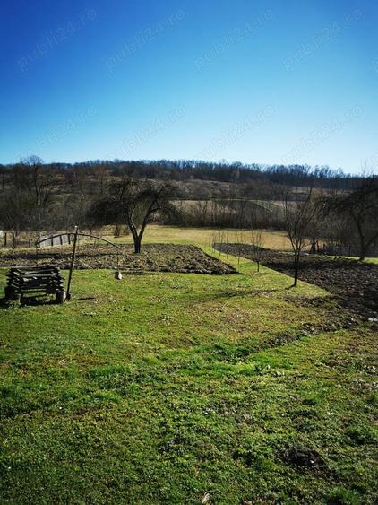 Casa zona de padure - 1