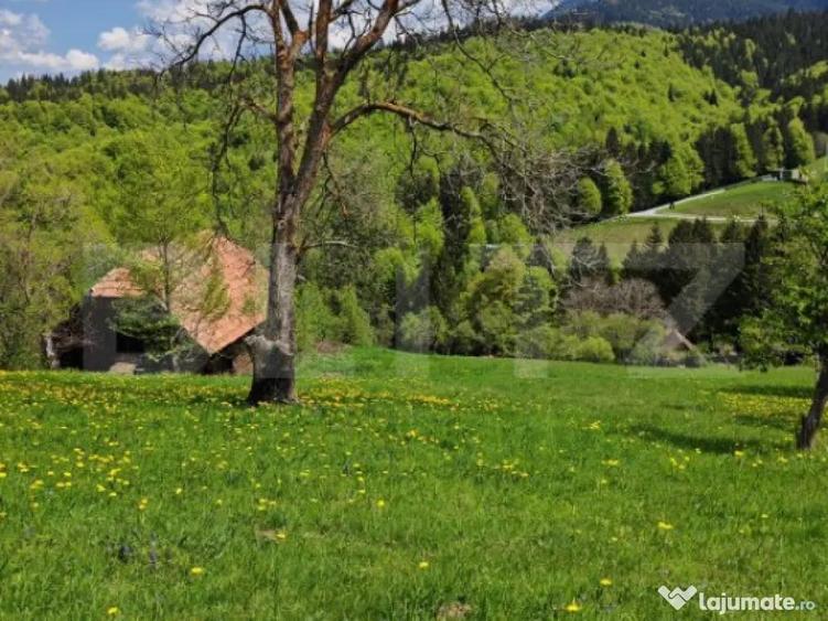 Teren intravilan 3400 mp, in Balaban - Simon, Bran - Brasov - 5