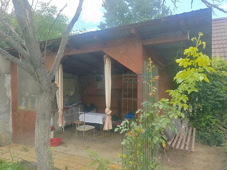 Gradina cu cabana la balastiera Micalaca - 2