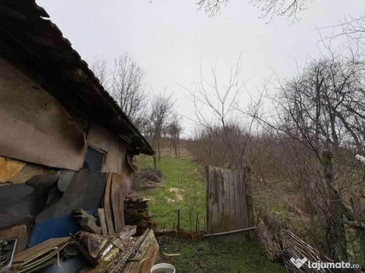 Teren 2.038 mp + Casa 50 mp de vanzare Sat Luncsoru, C - 12