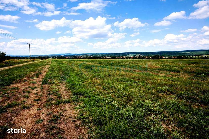 Parcele de teren extravilan in Les,Gaminvest,V4554 - 1