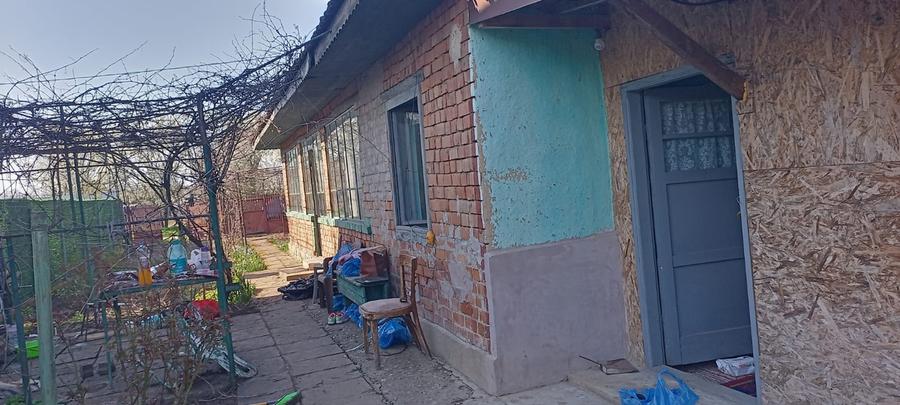 Lilieci Ialomita - 10