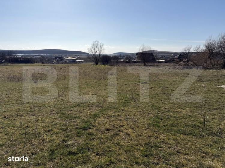 Teren intravilan in localitatea Hereclean in suprafata de 5800 mp - 3