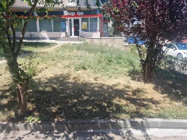 TEREN 250MP  |  CENTRAL  |  B-DUL MAMAIA - 2