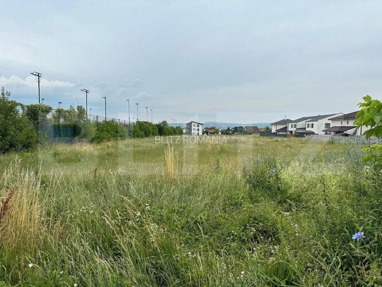 Teren intravilan, 7441mp, zona Lidl Cetate