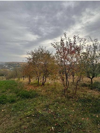 Teren de 4500 mp, în Comșești