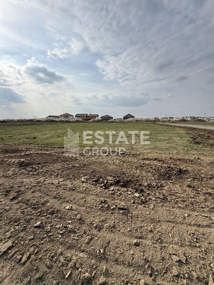 Mosnita Noua, front stradal 22 ml - 4