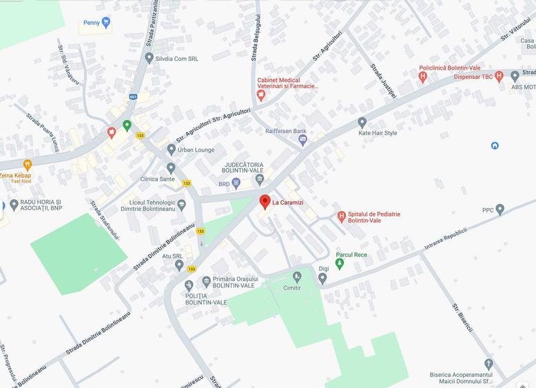 Spatiu comercial de inchiriat - 4