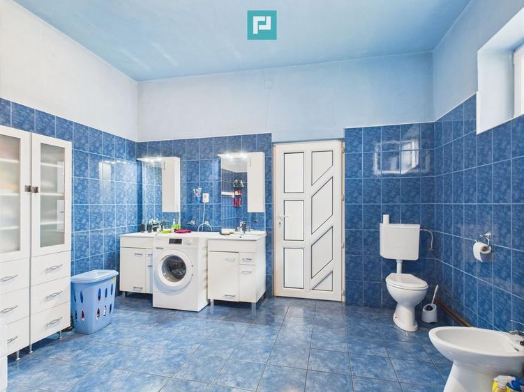 Casă individuală cu teren,  Andrei Șaguna -Traian - 21