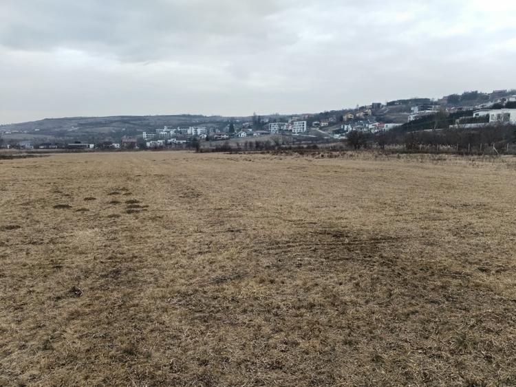 Teren Intravilan de vanzare, 4300mp, front 25 ml, Borhanci - 1