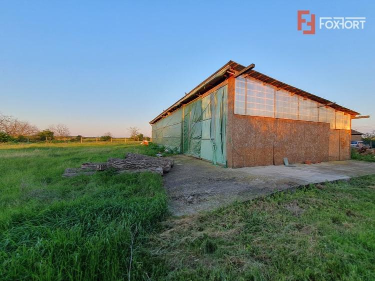 COMISION 0% Casa individuala cu 5 camere si teren de 3489 mp Percosova - Gataia - 26