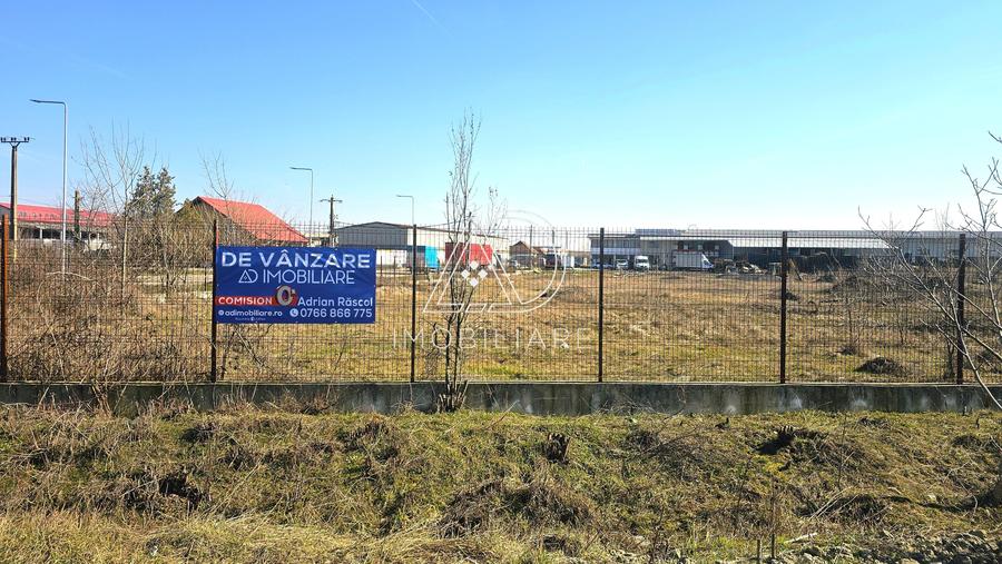 Proprietate industrială de vânzare –strada Ciocarlau - 2