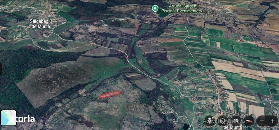 Teren 8300 mp Extravilan Uileacu de Munte - 3