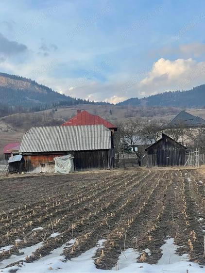 Casa+teren de vanzare - 3