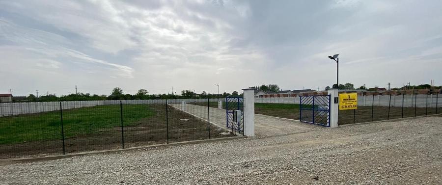 Ciolpani adiacent  DN1 parcele  teren 500 mp toate utilitati gard - 4