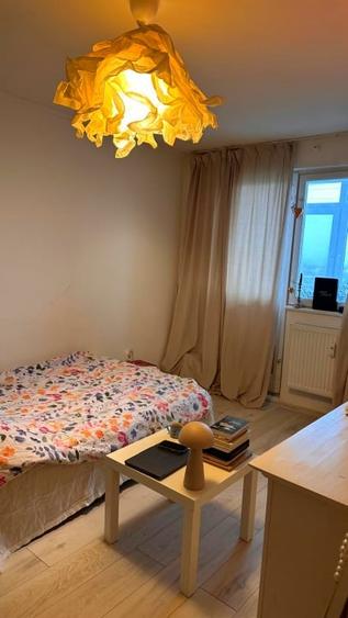 Garsoniera-Podu ros-Liceul Racovita-etaj intermediar - 3