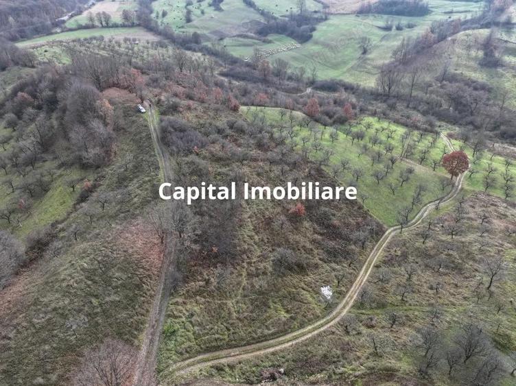 Teren de vanzare in Gro?i, Maramure?, 55 ari - 2