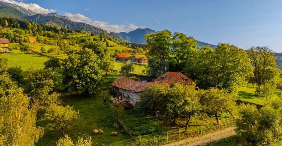 Teren pretabil pentru PENSIUNE in BRAN | 3,000mp | COMIS... - 6