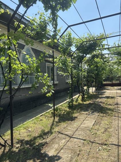 Vanzari casa si teren - 7