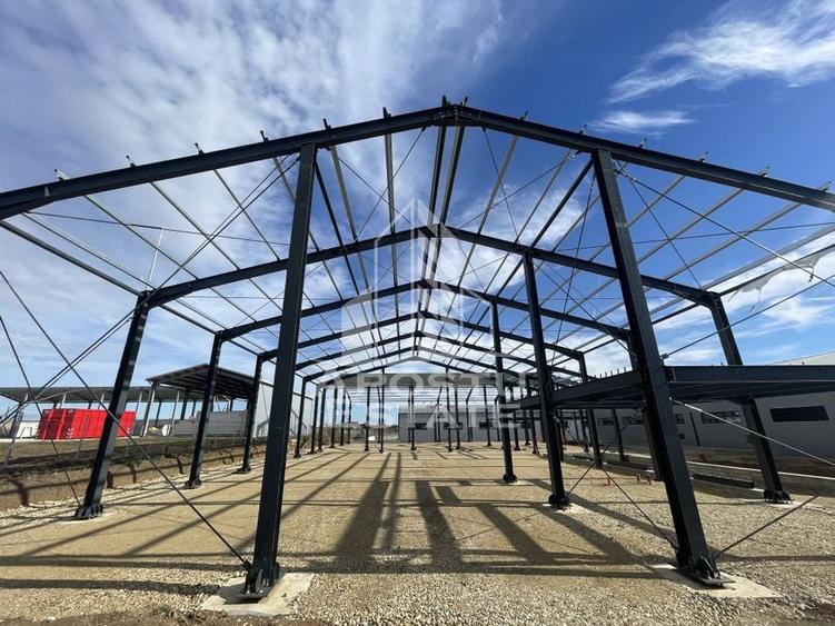 Hala noua cu rampa tir, 540 mpu, Giarmata - 5