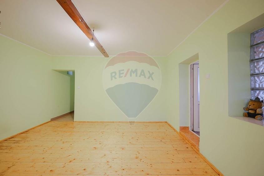 Casa cu teren de 3474 mp in Sannicolau Roman - 4