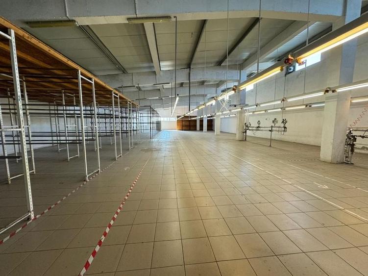 Hala productie P+1 si apartament de serviciu Navodari - c-tie beton - 10