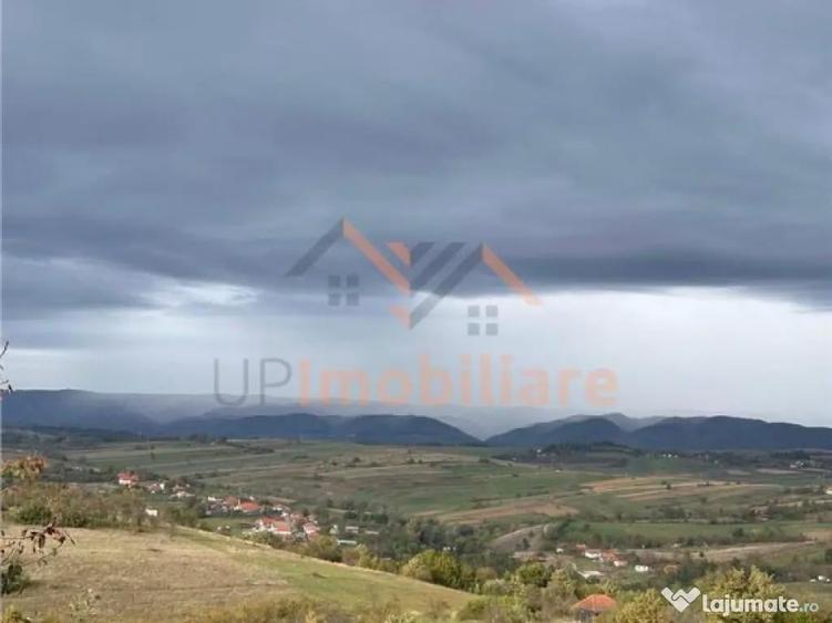 TEREN | 9341 MP | BALNACA GROSI | BIHOR - 2