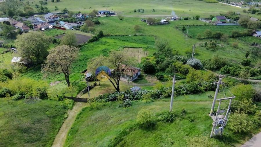Teren intravilan de 9000 mp, în Vânători