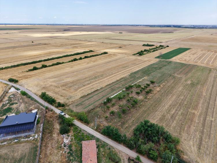 Teren Budeni - Delta Comana - Giurgiu - 4