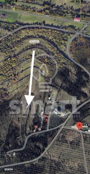 Teren Intravilan 773mp+drum Borhanci - 1