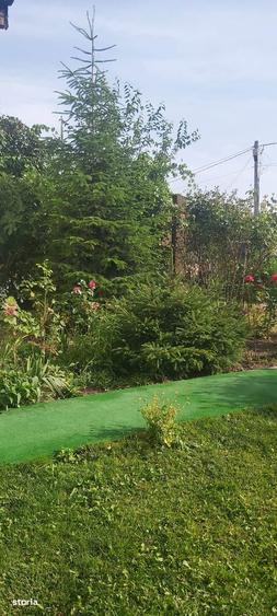 Casa de vacan?a la 30 km de Bucure?ti - 1