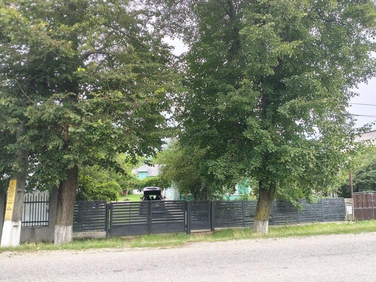 Casă cu 3 camere cu Teren 9000 Mp în Ludași