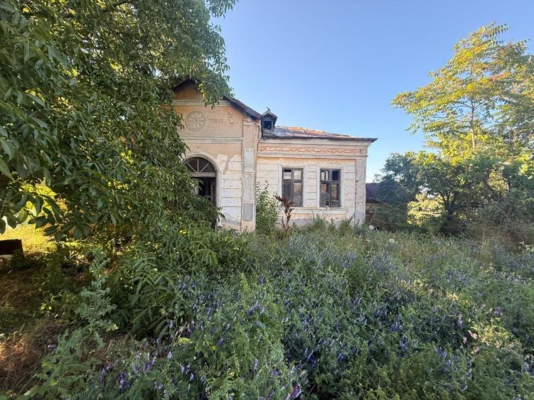 Casă individuală cu 3 camere cu Teren 5783 Mp în Segarcea-Vale