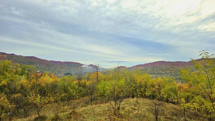 Vand teren la munte, Arges, Corbeni zona Cetatea Poenari Vlad Tepes, Baraj Vidraru - 6