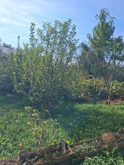 Casă cu 4 camere cu Teren 1100 Mp în Central