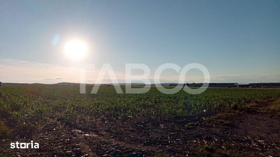 Teren de 20800 mp, în Cristian
