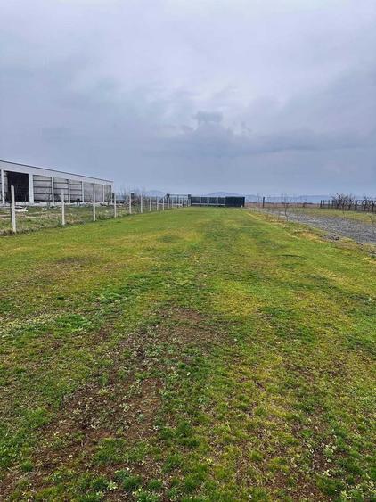 Teren de 1150 mp, în Nord