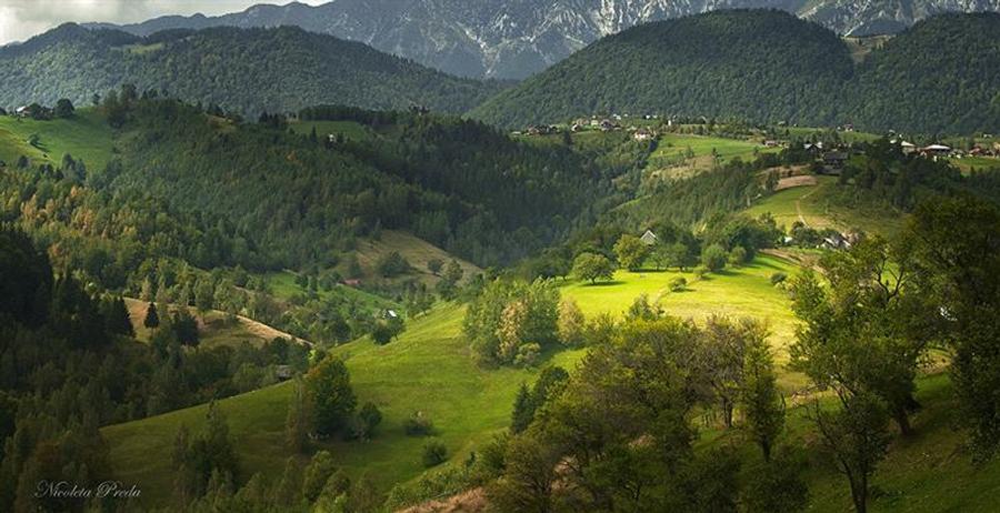 Vila in magistral peisagistic, mobilata, echipata, Moieciu, Pestera, Brasov - 10