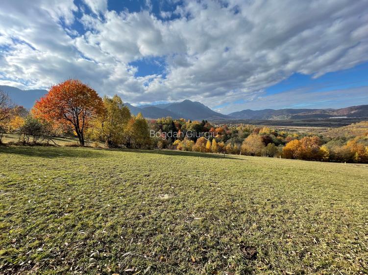 Teren intravilan loturi intre 500 si 1000 m la 14 km de Rasnov Teren intravilan loturi intre 500 si 1000 m la 14 km de Rasnov