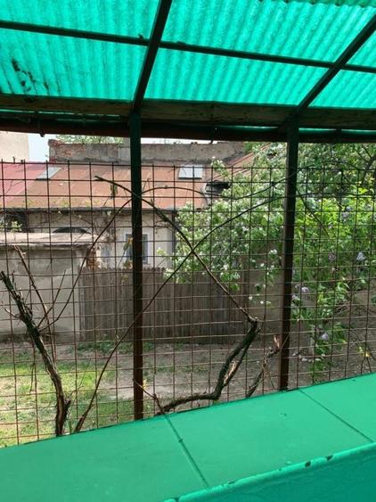 UNIRII-METROU, etaj IN VILA ,88 MP,3 camere, firma,,locuinta,720 euro - 14