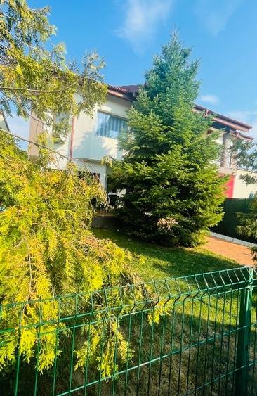 Casa Dobroesti complex Enculescu - 2