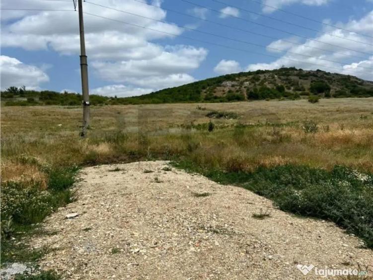 RECO teren de in zona Betfia - 1